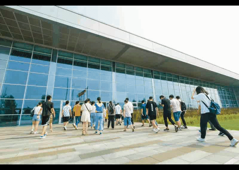 1567070253987870.gif 1567070253987870.gif