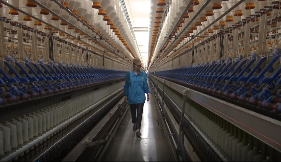 1719817103430666.jpg 1719817103430666.jpg