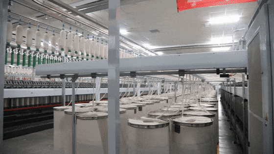 1719817126333094.gif 1719817126333094.gif