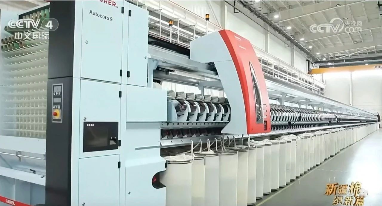 1730449460445970.jpg 1730449460445970.jpg